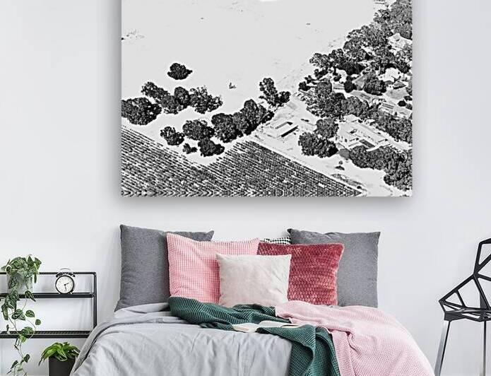 Abstract Fields by Barbara Jacobs