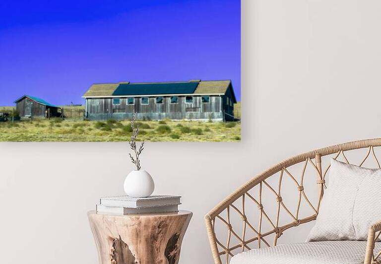 Blue Roof Shed  by Barbara Jacobs