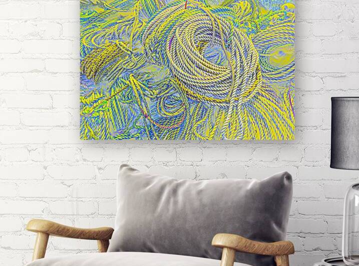 Brilliant Lines by Barbara Jacobs