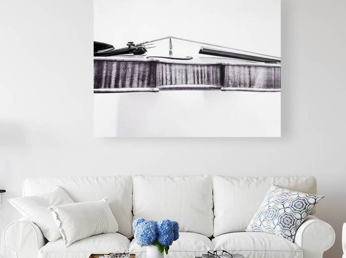 Fiddle in Black and White by Barbara Jacobs