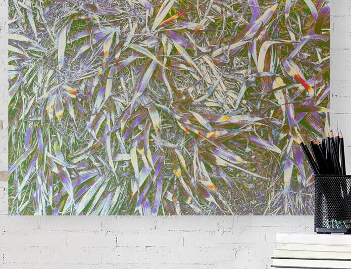 Many Grasses  by Barbara Jacobs