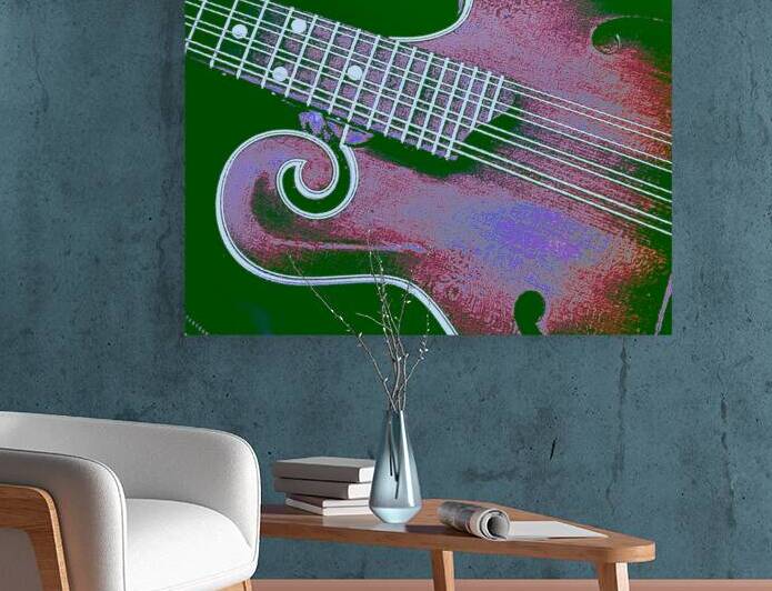 Mandolin  by Barbara Jacobs