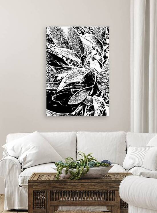 Leaves in Black and White by Barbara Jacobs