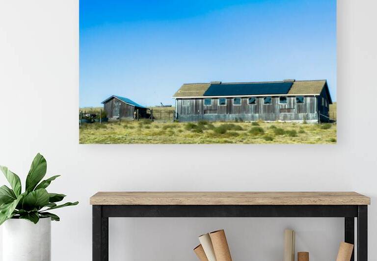 Blue Roof Shed  by Barbara Jacobs