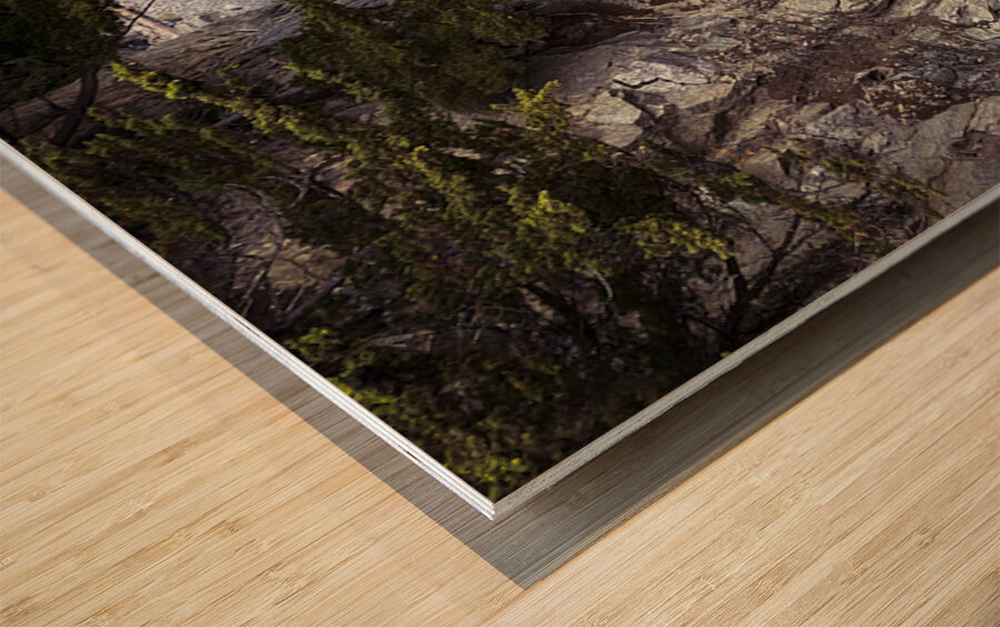 Cliff and Sea  Wood print