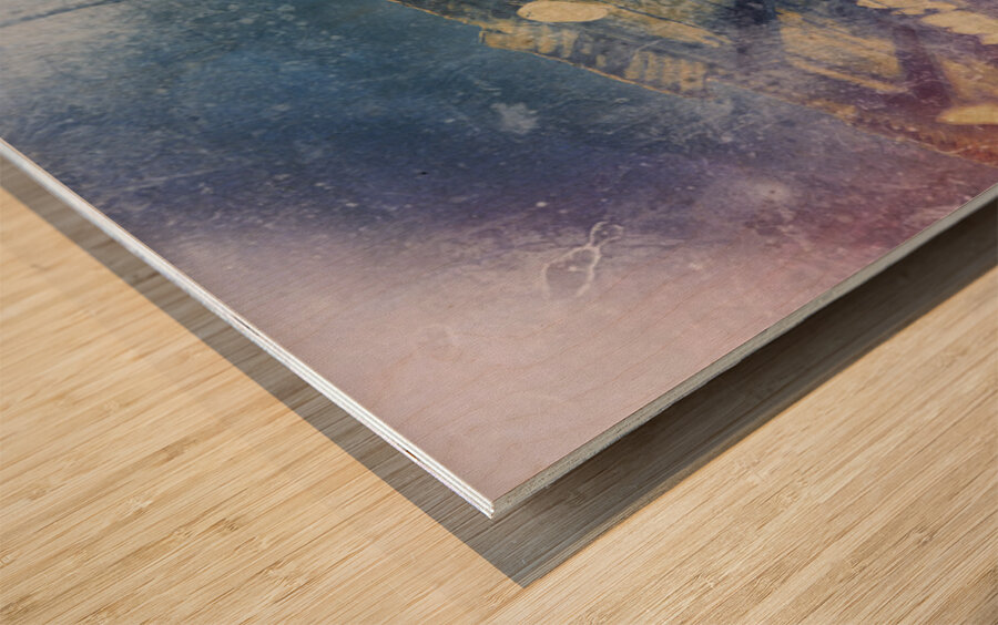 Abalone Shells at China Camp Wood print