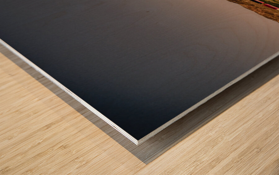 3 Miles of Red Boxcars Somewhere in Space Wood print