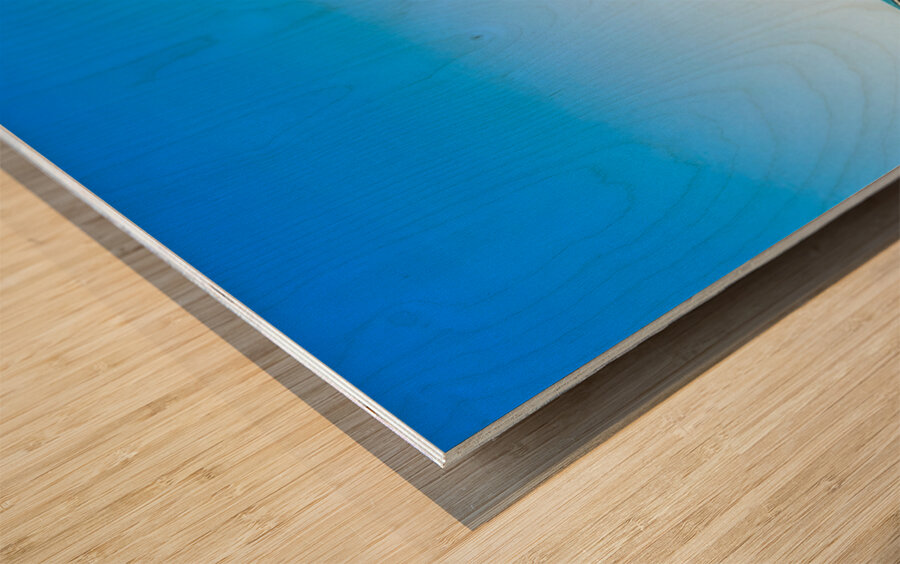 Blue Roof Shed  Wood print