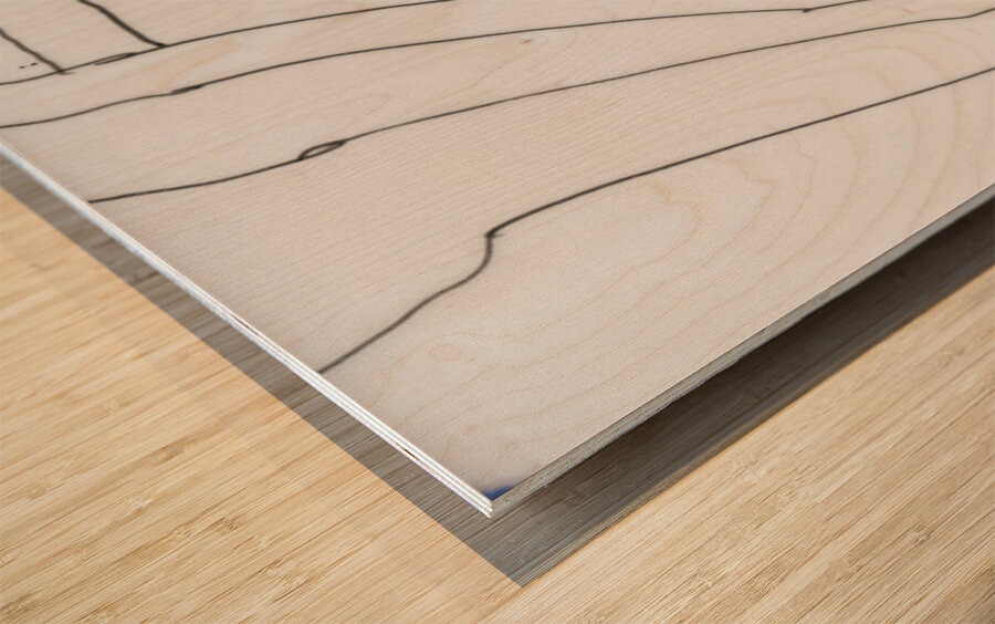 Kauai View in Colored Pencil Wood print