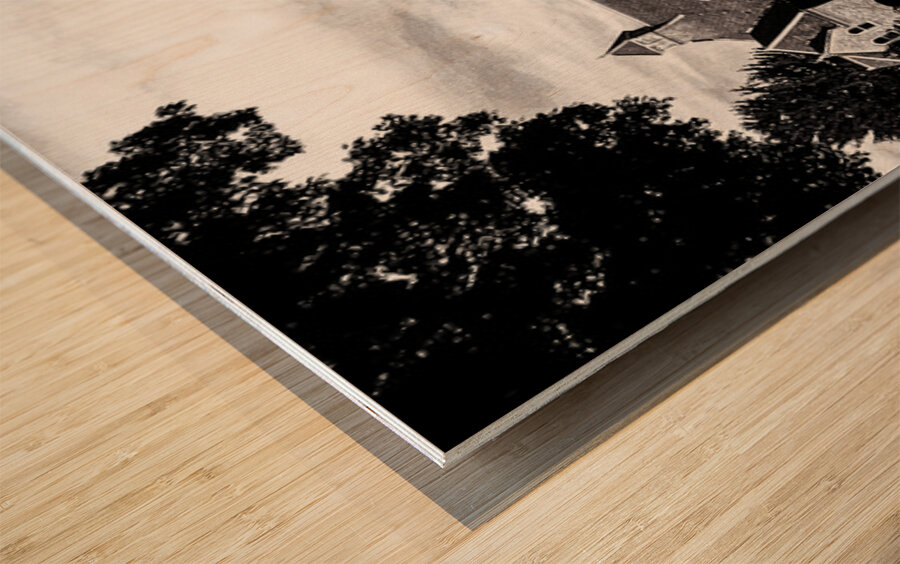 Historic Hospital in Black and White Wood print