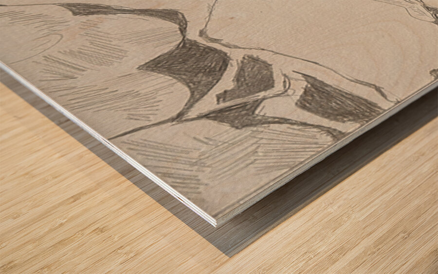 Silverpoint Landscape View Wood print