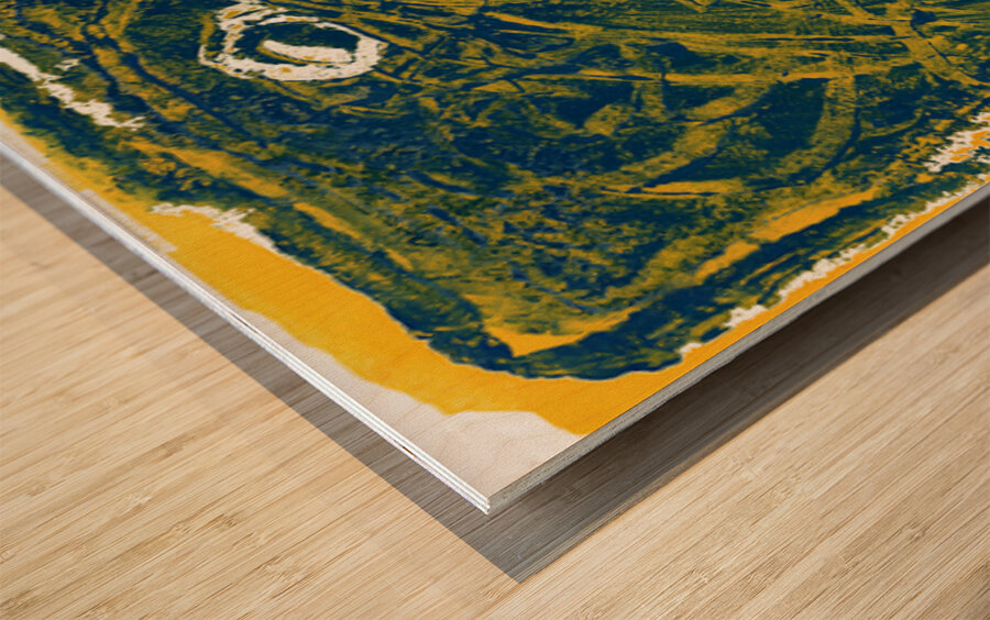 Ready to Jump Wood print