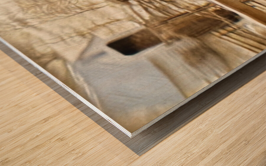 Historic House from 1800s  Wood print